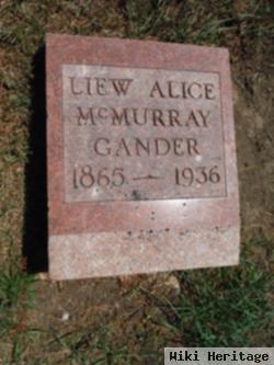 Liew Alice Doty Gander