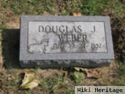 Douglas J Weber