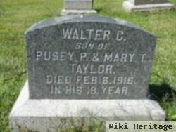 Walter C Taylor