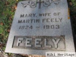 Mary Cox Feely