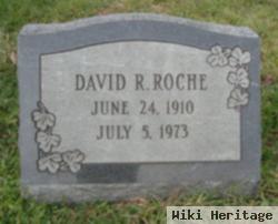 David R Roche