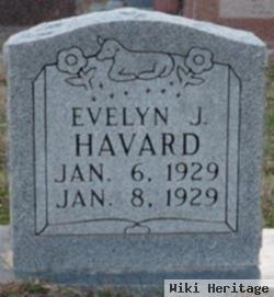 Evelyn J Havard