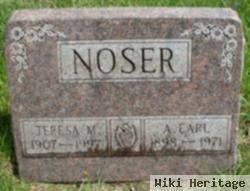 Teresa Marie Grassbaugh Noser