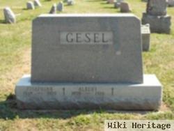 Josephine Miller Gesel