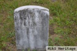 Harvey Joel Werner