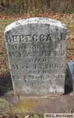 Rebecca J Reed