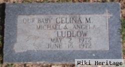 Celina M Ludlow