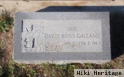 David Ross Galland