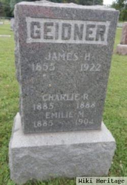 James Henry Geidner