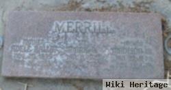 Mark Ballif Merrill