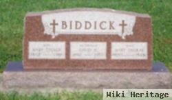 David Hender Biddick