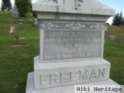 George S. Freeman