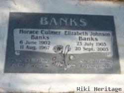 Horace Culmer Banks
