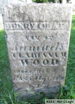 Henry Clark Wood