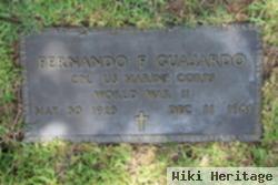 Fernando Flores Guajardo