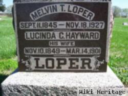 Lucinda C Hayward Loper