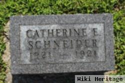 Catherine E Schneider