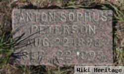 Anton Sophus Peterson