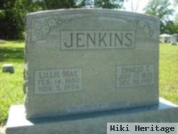 Lillie Mae Gheen Jenkins