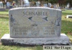 Carl L. Schnabele