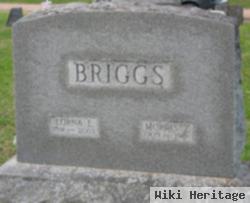 Morris E. Briggs