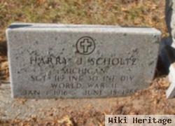 Harry Joseph Scholtz