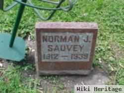 Norman J. Sauvey