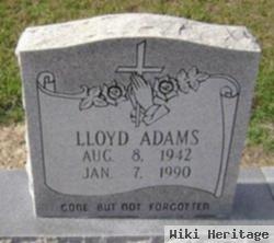 Lloyd Adams