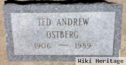 Theodore Andrew "ted" Ostberg