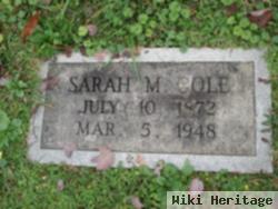 Sarah M. Cole