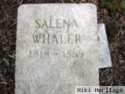 Salena Whaler