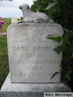 Carl Arnold Haga