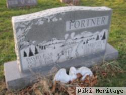 David F Fortner, Sr