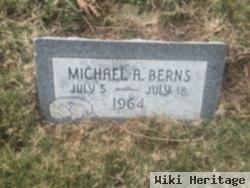 Michael A Berns