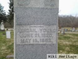 Abigail Snell Young