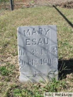 Mary Esau