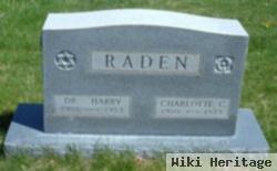 Dr Harry Raden