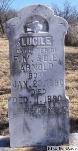Lucile "lucy" Arnold
