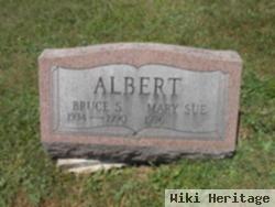 Bruce S. Albert