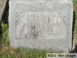 Fern Ellen Sprecher