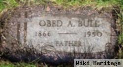 Obed Alfred Bull