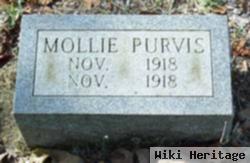 Mollie Purvis