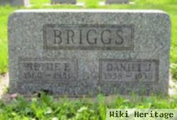 Nettie F Cole Briggs