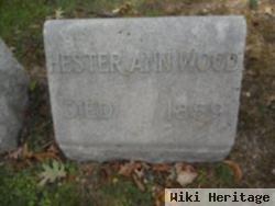 Hester Ann Wood