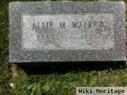 Allie M Walker