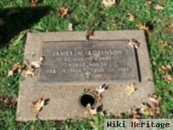 James M Robinson