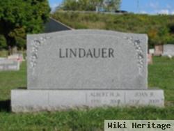 Joan Lindauer