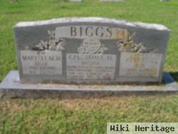 Mary Elizabeth "lizzie" Leach Biggs