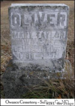 Mary Ann Taylor Oliver