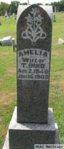 Amelia Sanders Bird